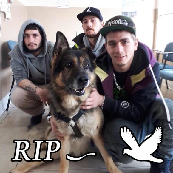 Meet your Posher, Caleb - Picture 1 of 1